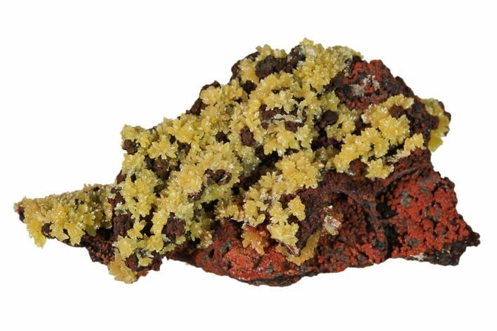 Mimetite Crystal Clusters on Limonitic Matrix - Mexico #157133